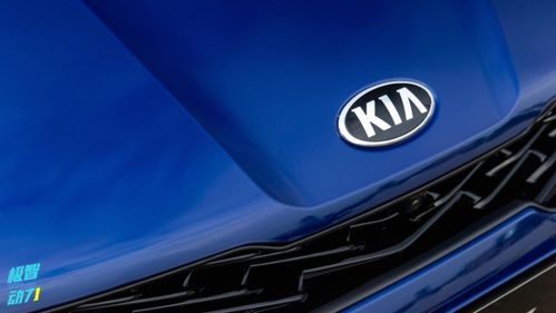 年度汽車(chē)可靠性排名生變，銷(xiāo)量王者緣何淪為質(zhì)量洼地？