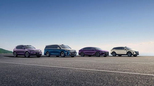 嵐圖汽車(chē)謀變 產(chǎn)品與技術(shù)雙輪驅(qū)動(dòng)，沖刺港股奔赴新戰(zhàn)場(chǎng)